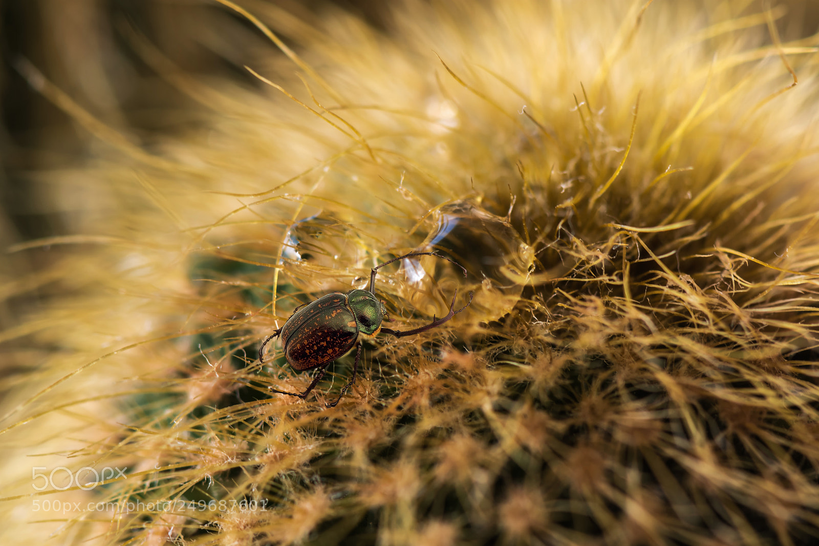 Nikon D7200 sample photo. 002 photography