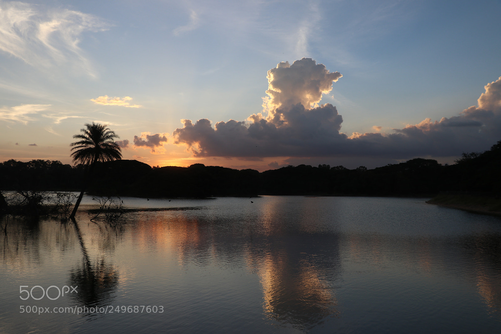 Canon EOS 80D sample photo. Serenity photography