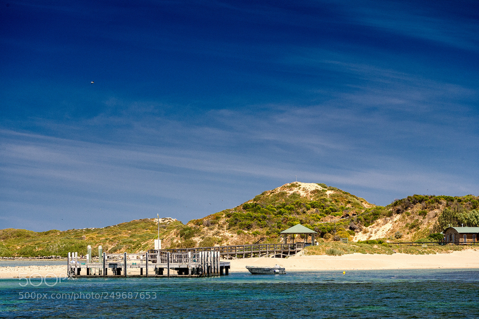 Canon EOS 5D sample photo. Penguin island photography
