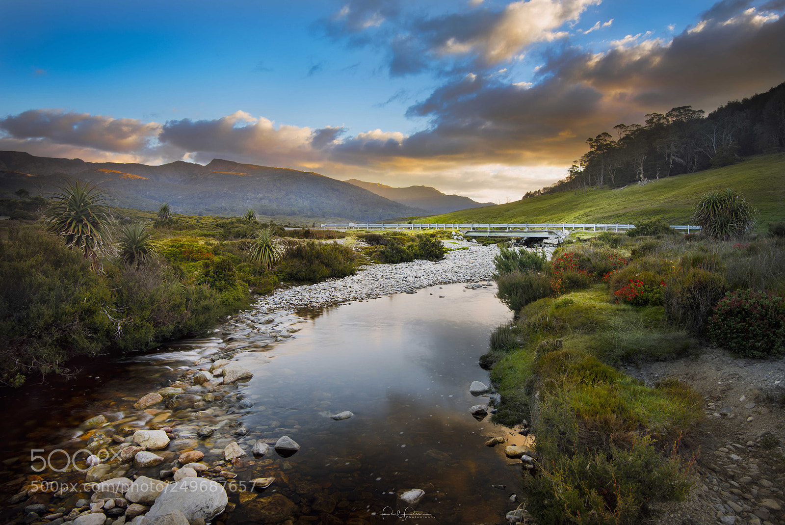 Nikon D810 sample photo. The valley - cradle photography