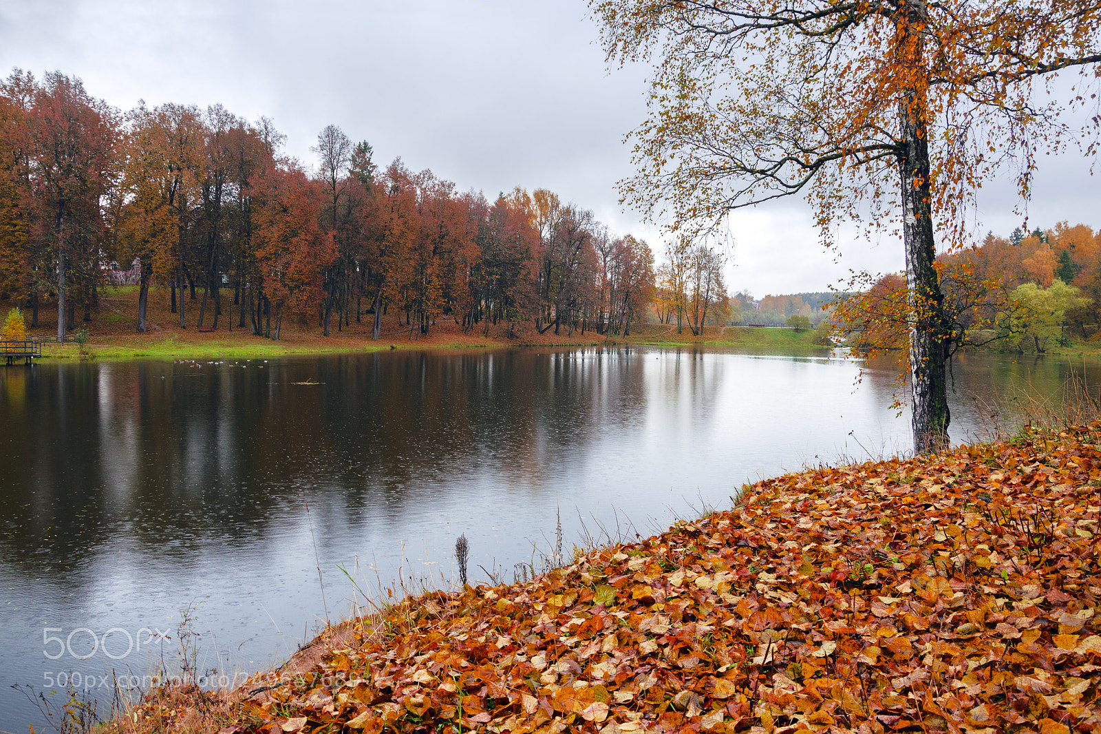 Nikon D5100 sample photo. Rainy day photography
