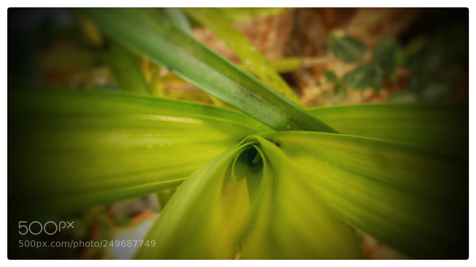 Motorola Moto G (2nd Gen) sample photo. Untitled photography