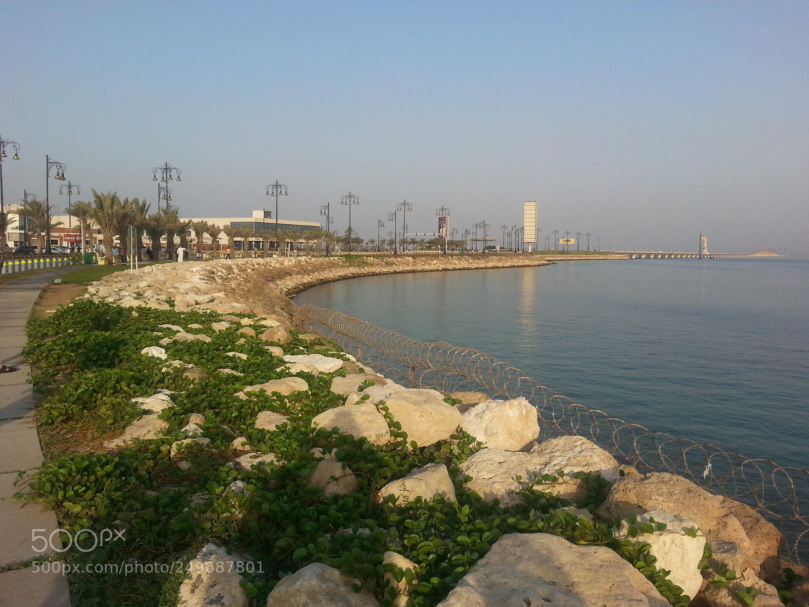 Samsung Galaxy S3 sample photo. Untitled photography