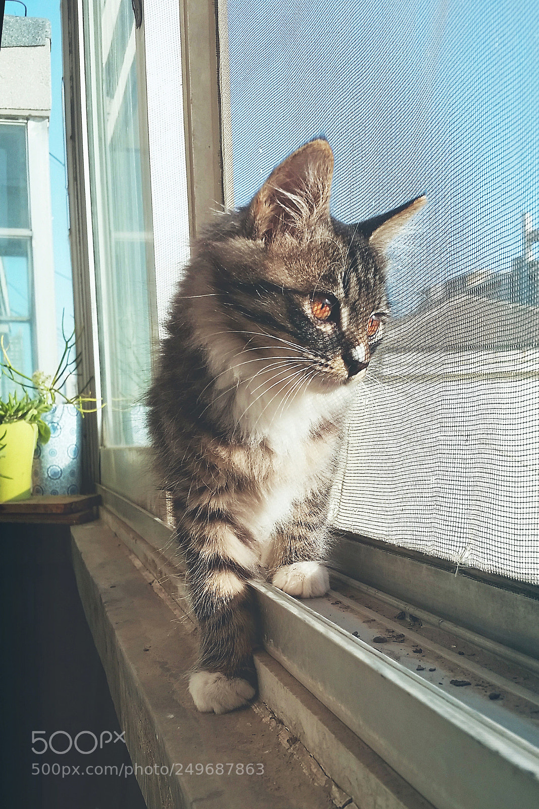 Samsung Galaxy S5 sample photo. 专注 photography
