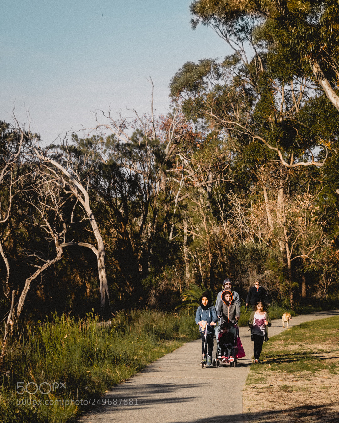 Nikon D3300 sample photo. Family stroll photography