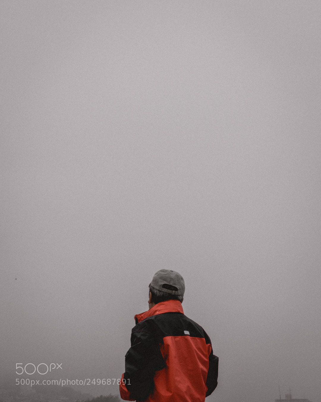 Nikon D3300 sample photo. Searching photography