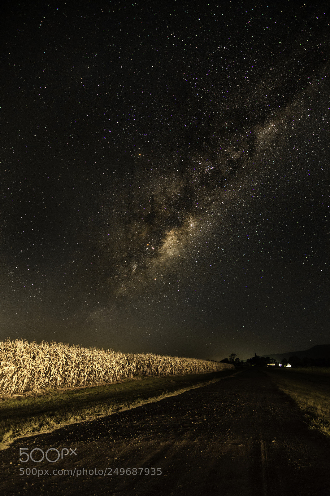 Nikon D500 sample photo. Milky way photography