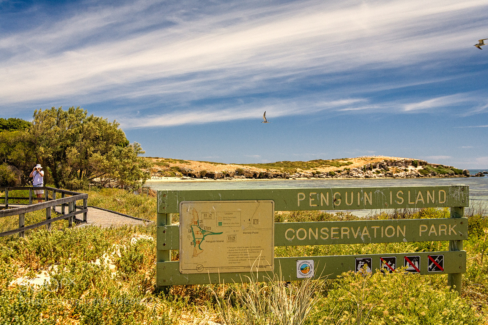Canon EOS 5D sample photo. Penguin island photography