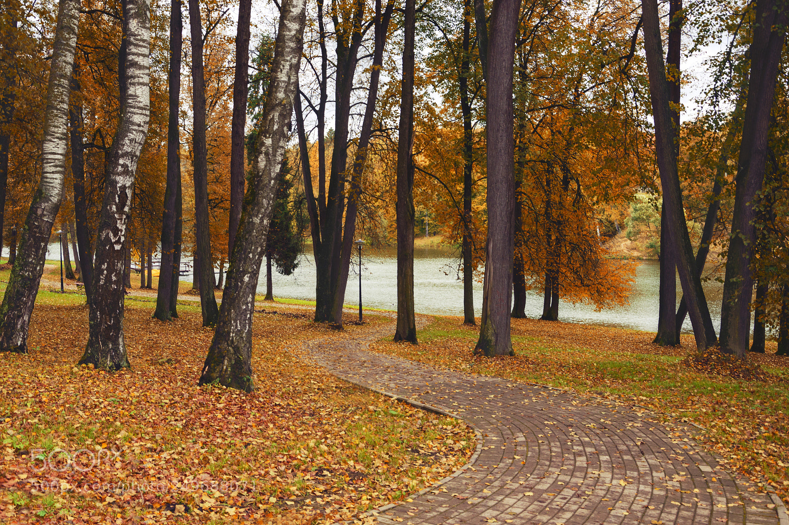 Nikon D5100 sample photo. Autumn roads photography