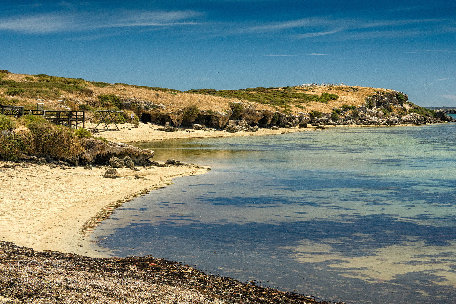 Canon EOS 5D sample photo. Penguin island photography