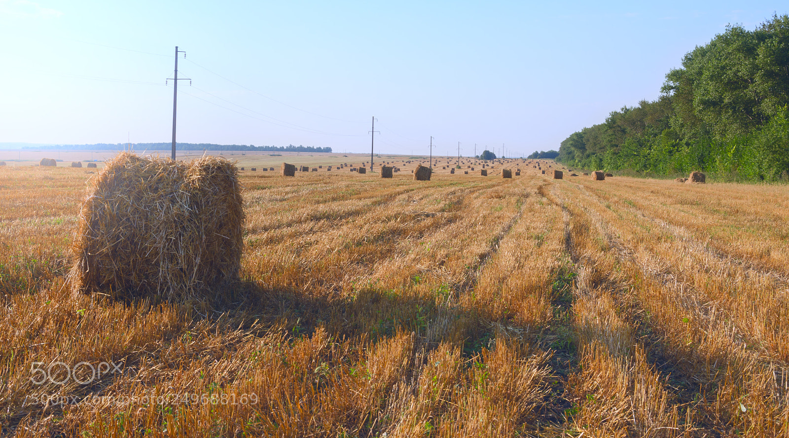Nikon D5100 sample photo. End of harvesting time photography