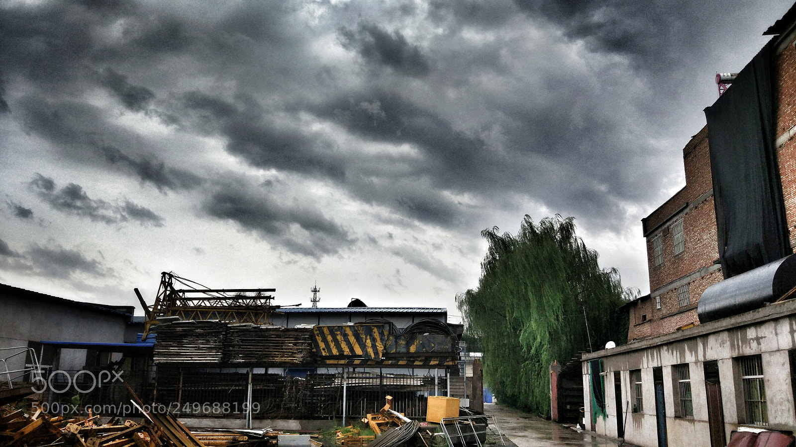 Xiaomi MI 5 sample photo. 怒 photography