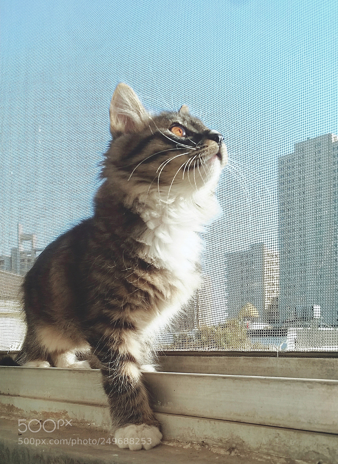 Samsung Galaxy S5 sample photo. Looking for … photography