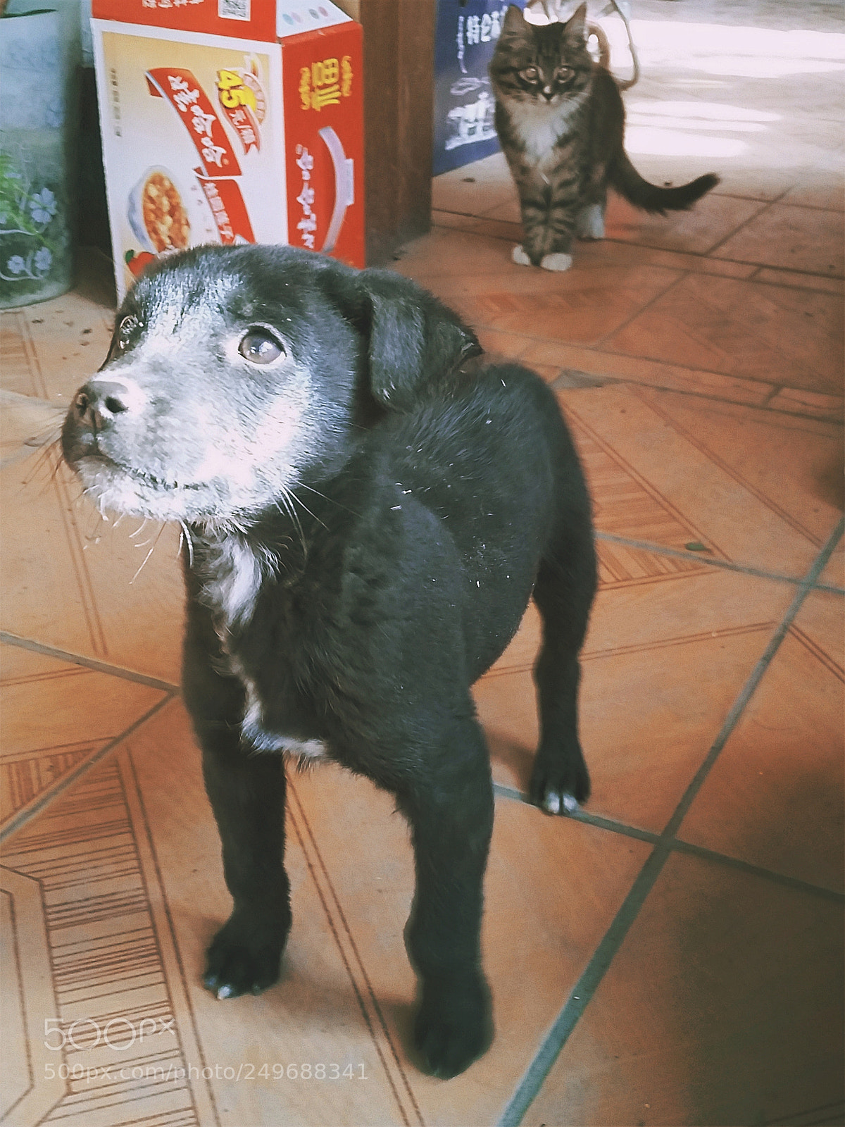 Samsung Galaxy S5 sample photo. A friend dropped in photography