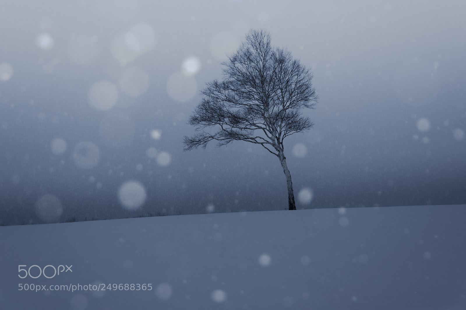 Pentax K-3 sample photo. It's snowing photography