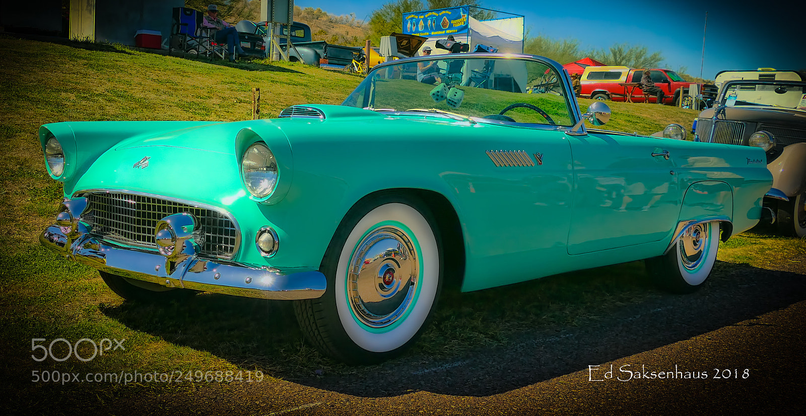 Panasonic Lumix DMC-FZ1000 sample photo. T bird photography