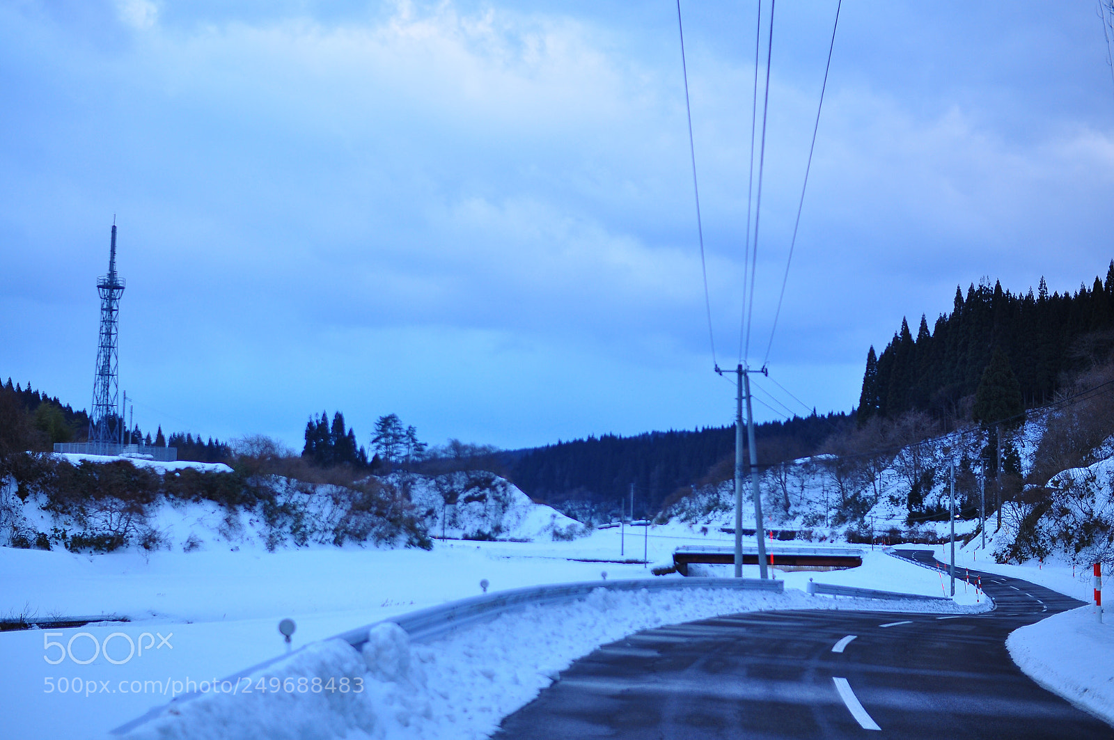 Nikon D5000 sample photo. Untitled photography
