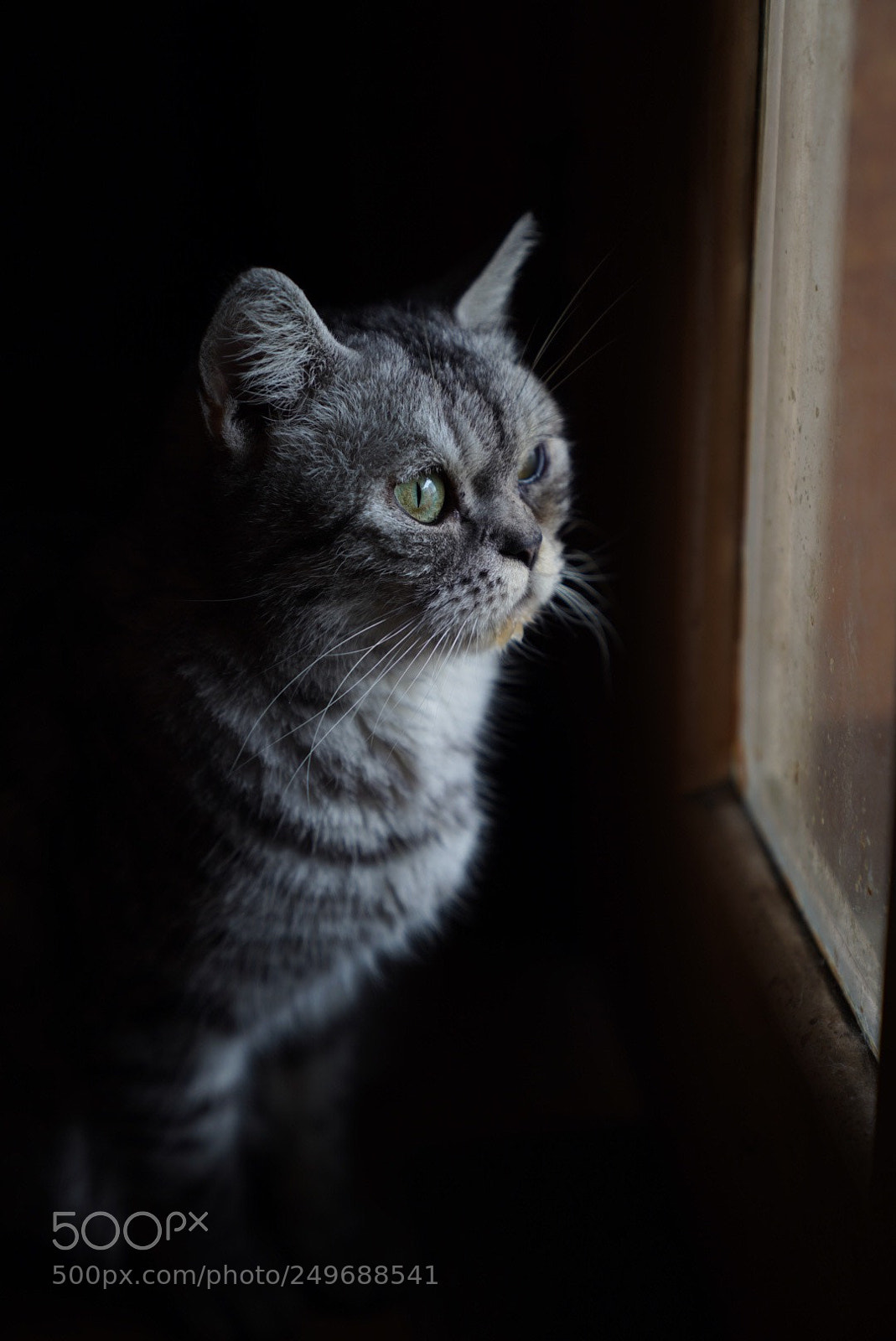 Sony a9 sample photo. Untitled photography