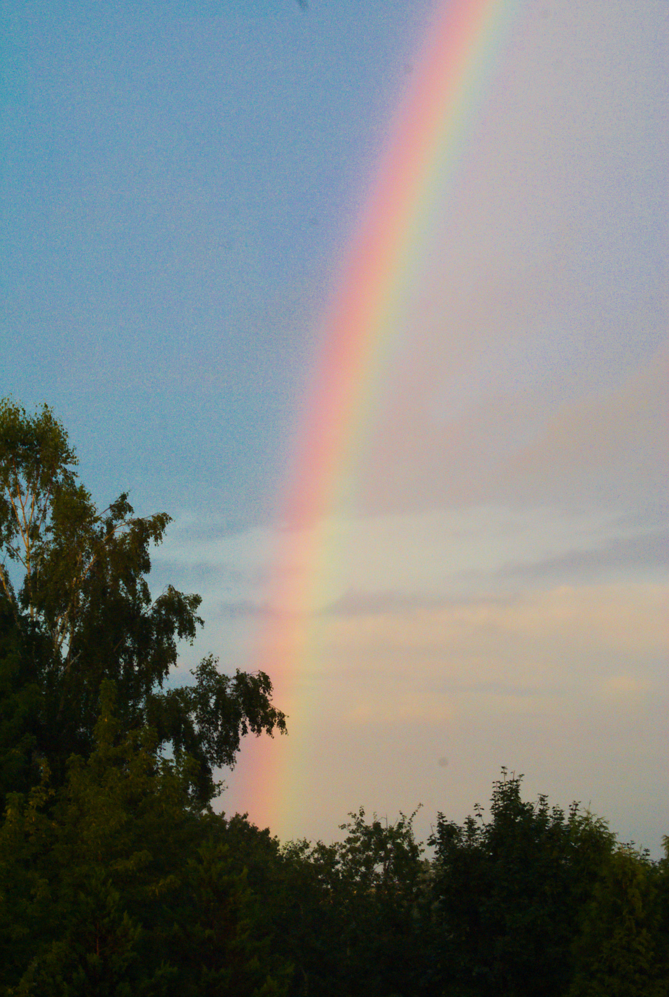Sony 75-300mm F4.5-5.6 sample photo. Rainbow 📸 photography