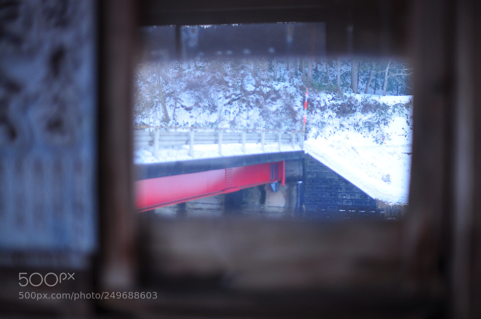 Nikon D5000 sample photo. Untitled photography