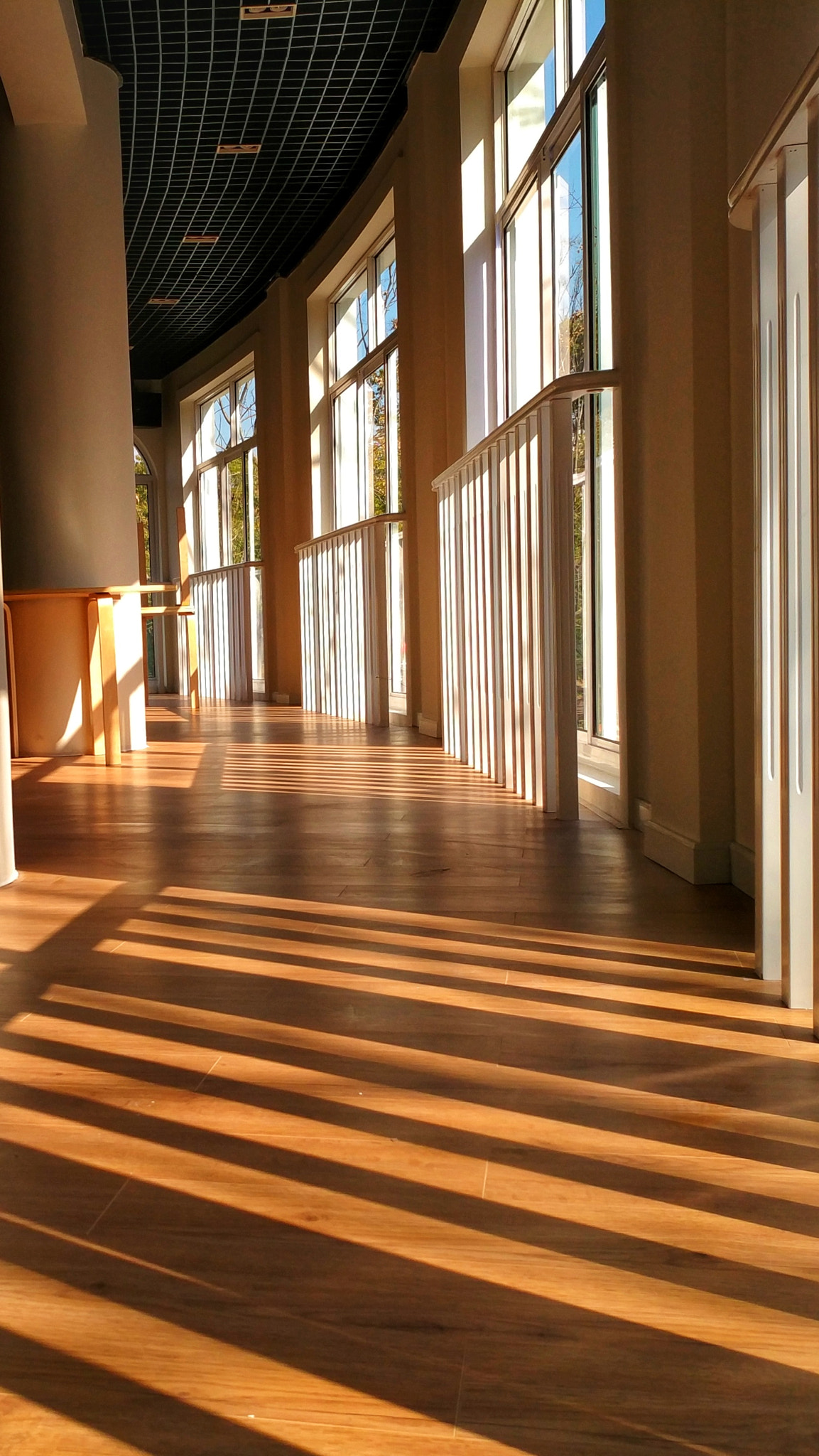 Xiaomi MI 5s Plus sample photo. Light photography