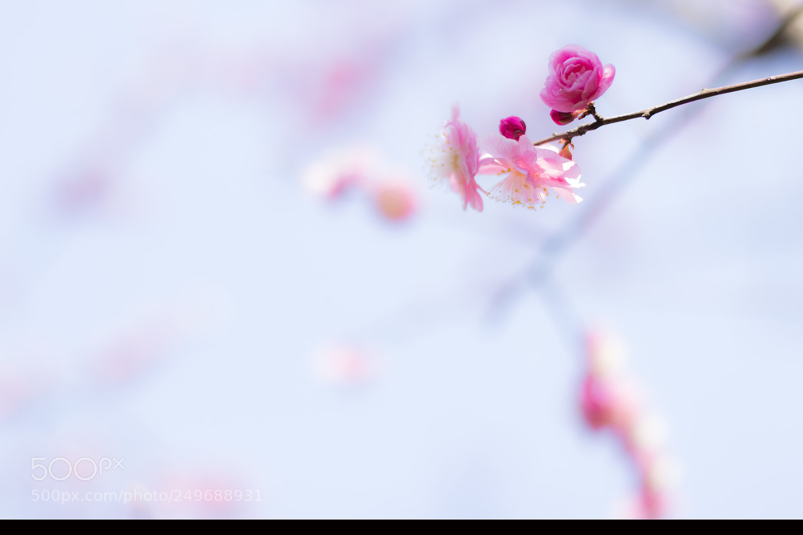Canon EOS 80D sample photo. Untitled photography