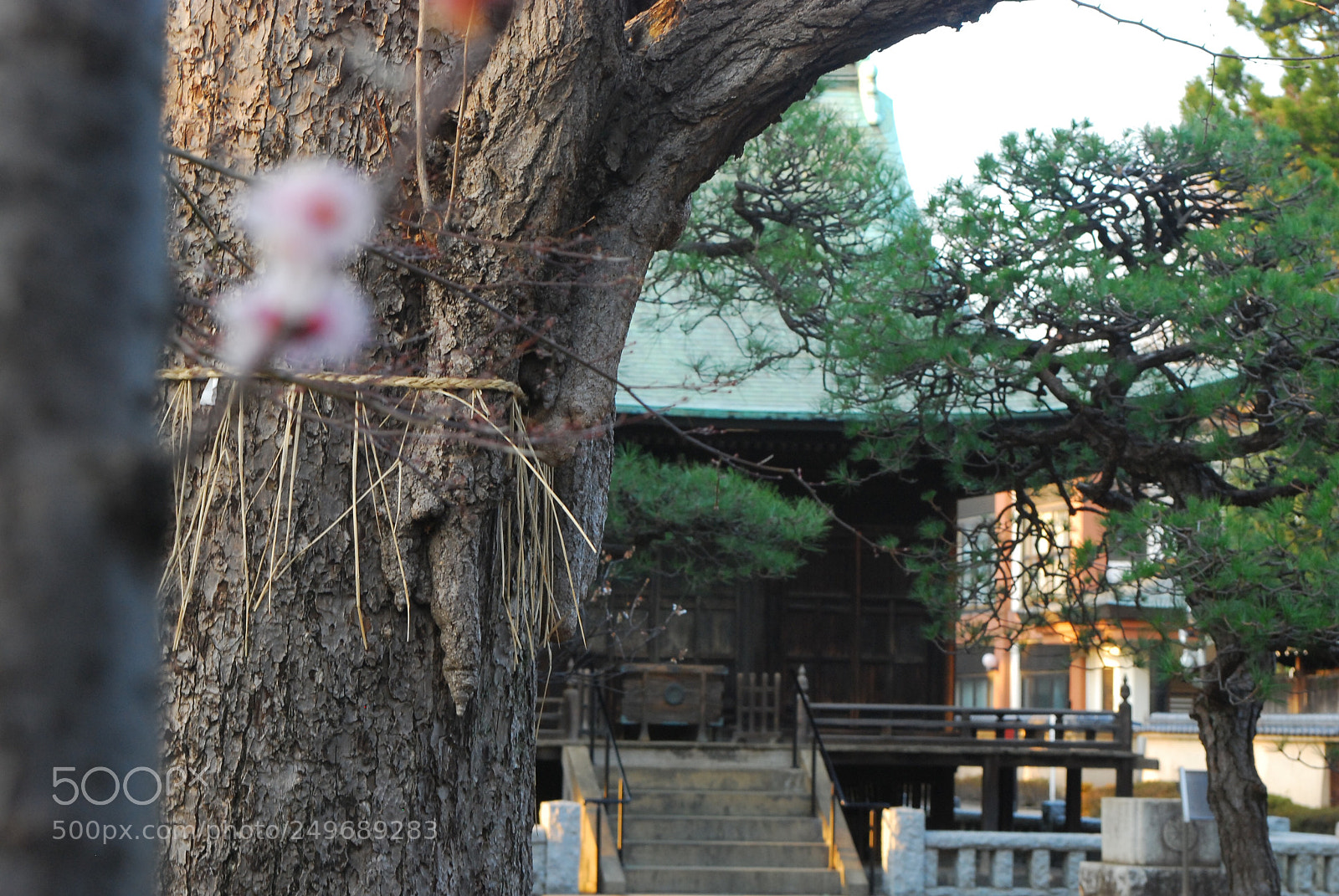 Nikon D80 sample photo. Untitled photography
