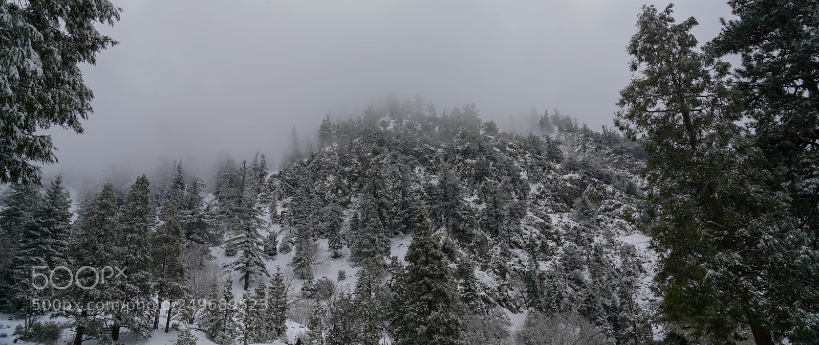 Sony a7R III sample photo. Dsc photography
