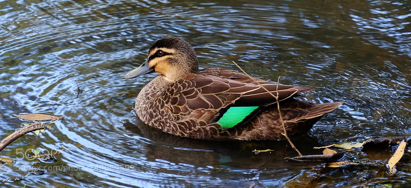 Fujifilm X-T1 sample photo. The peppermint green signal photography