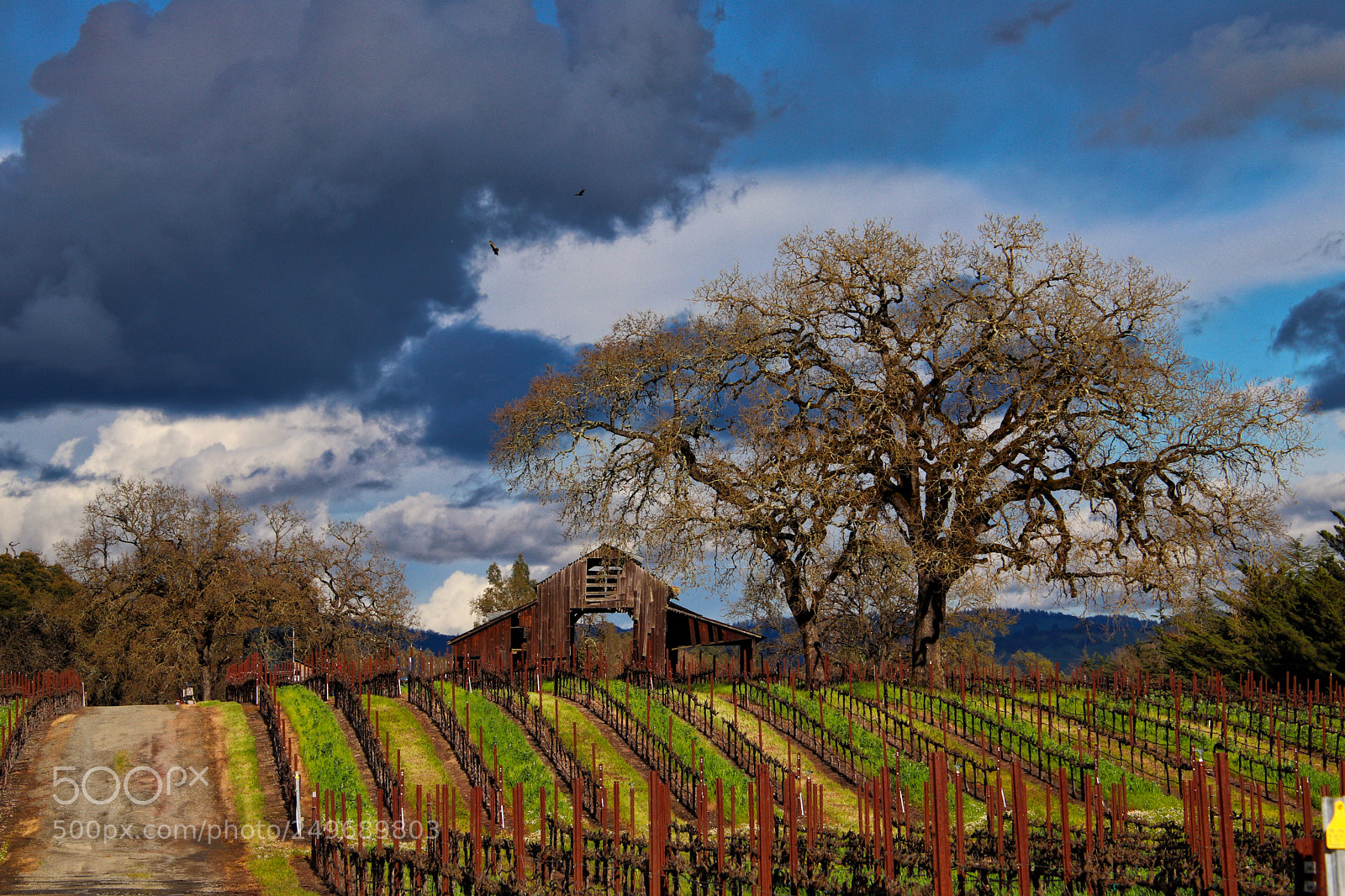 Canon EOS 77D (EOS 9000D / EOS 770D) sample photo. Wine country barn photography