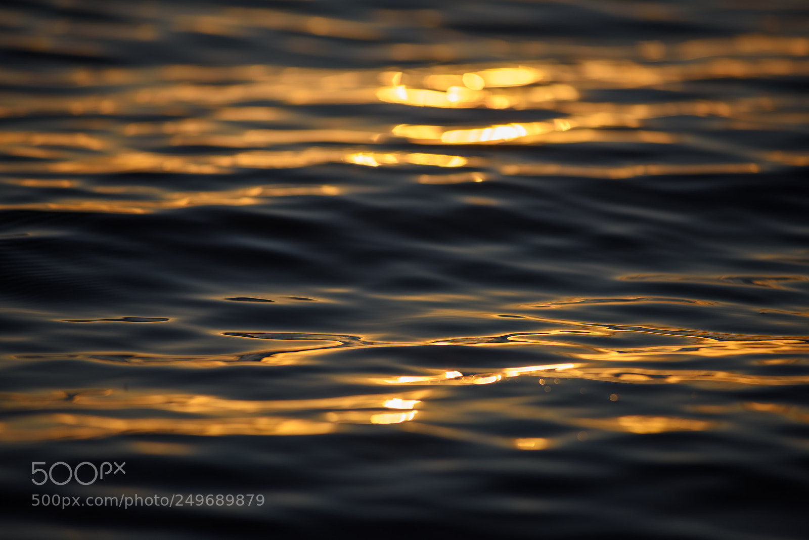 Nikon D810 sample photo. Mini waves photography