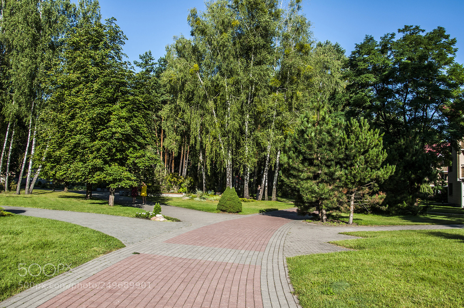 Nikon D90 sample photo. Belarus photography