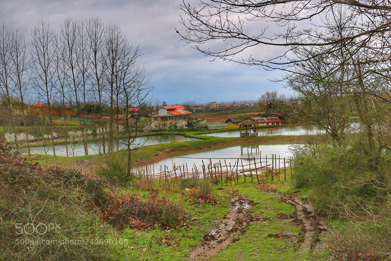 Canon EOS 750D (EOS Rebel T6i / EOS Kiss X8i) sample photo. Lakeside3 photography
