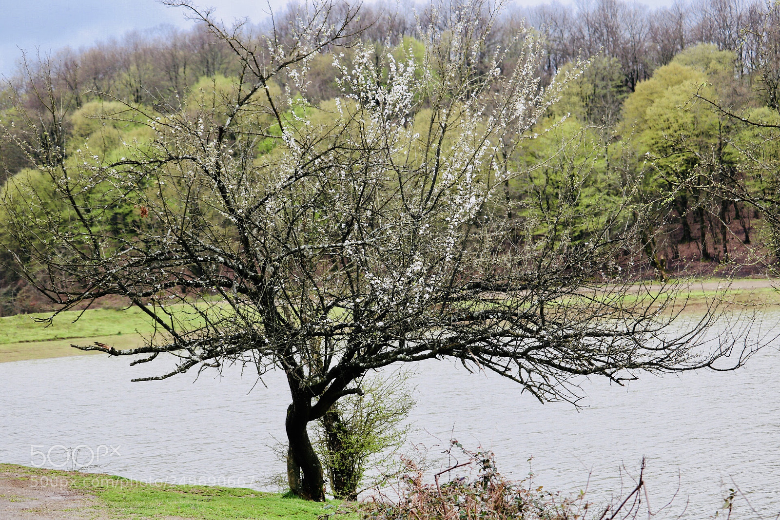 Canon EOS 750D (EOS Rebel T6i / EOS Kiss X8i) sample photo. Lakeside4 photography