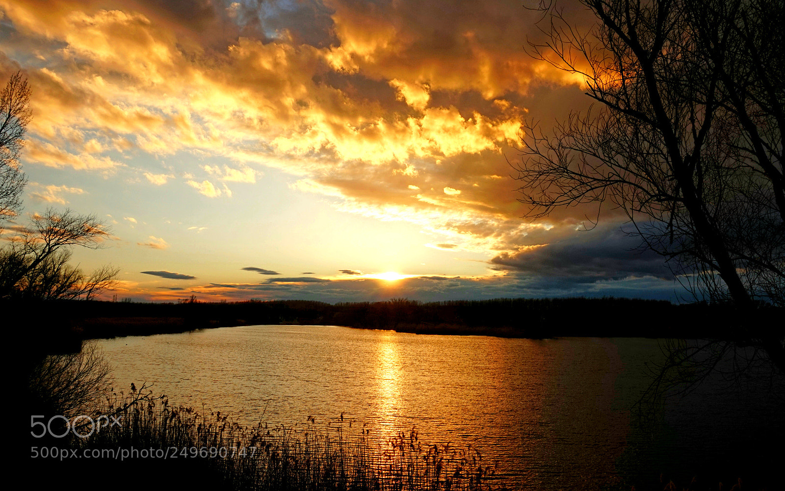 Sony Alpha a5000 (ILCE 5000) sample photo. Gate of light ... photography