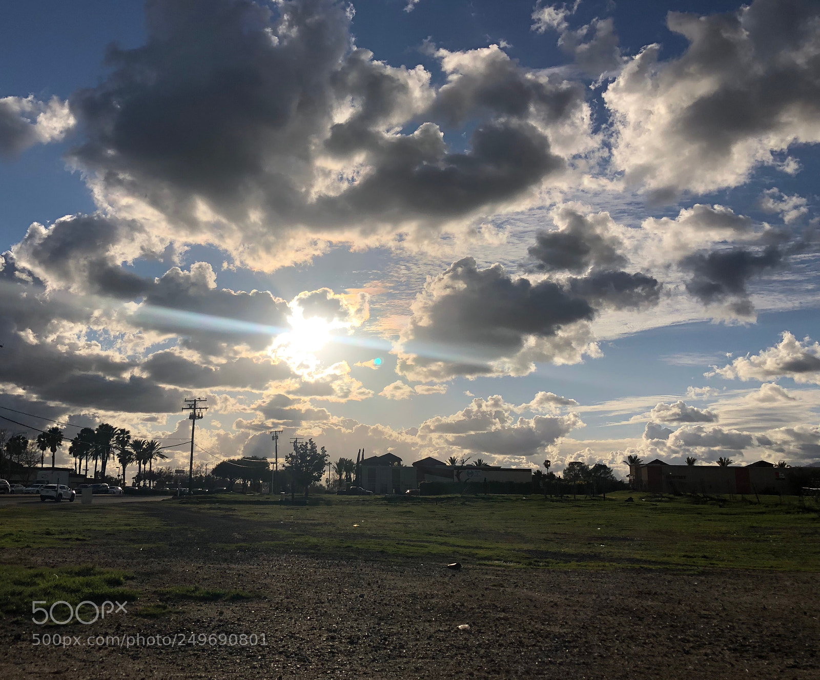 Apple iPhone 8 Plus sample photo. ? photography