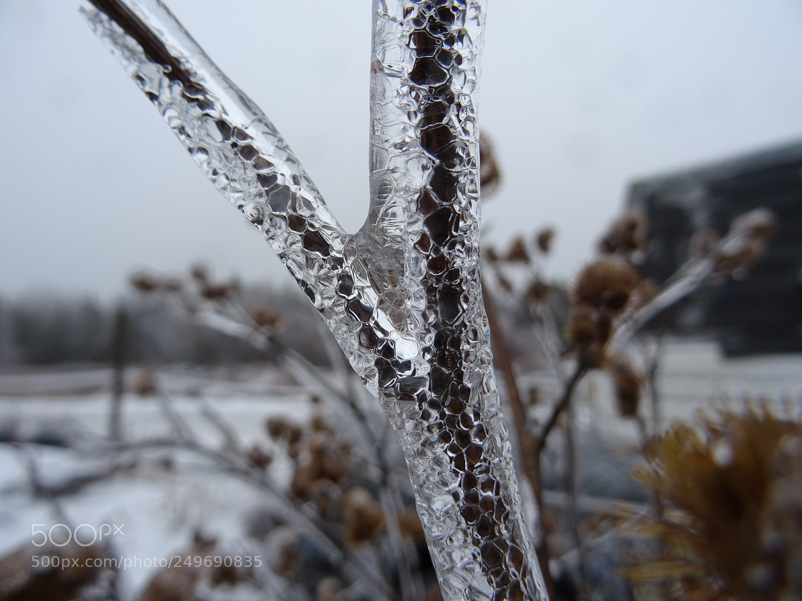 Sony DSC-HX60V sample photo. Cracked crystal twig photography