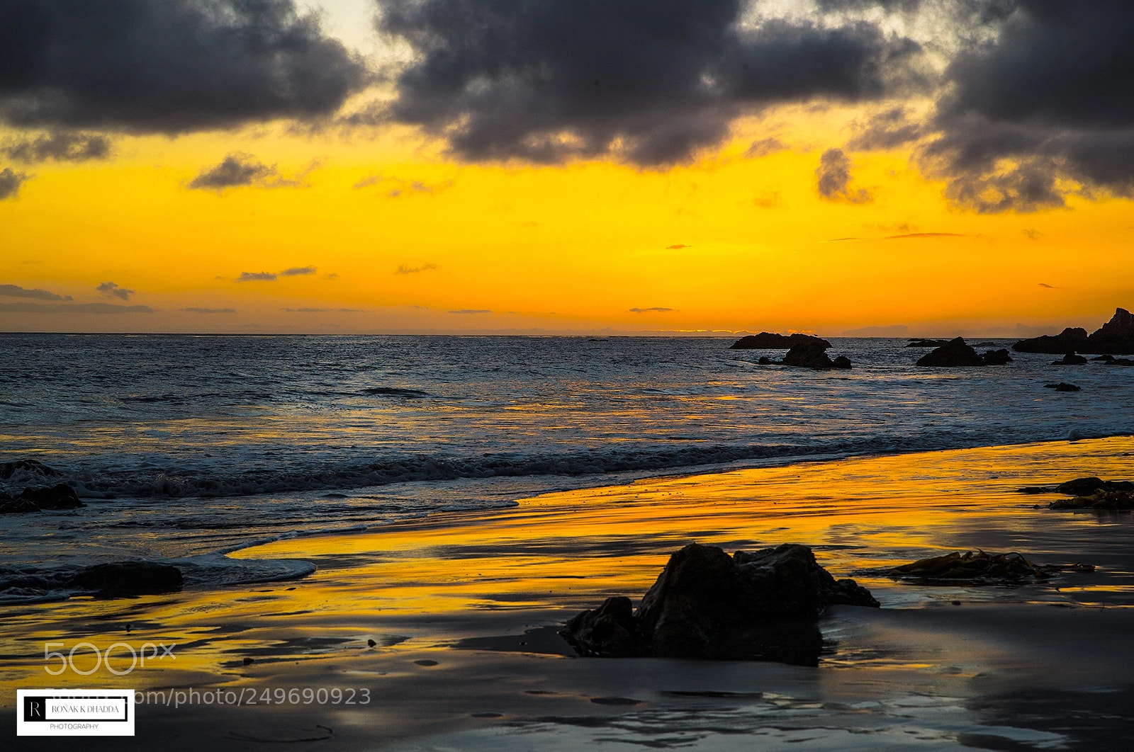 Canon EOS-1D X Mark II sample photo. El matador state beach ? ?? photography