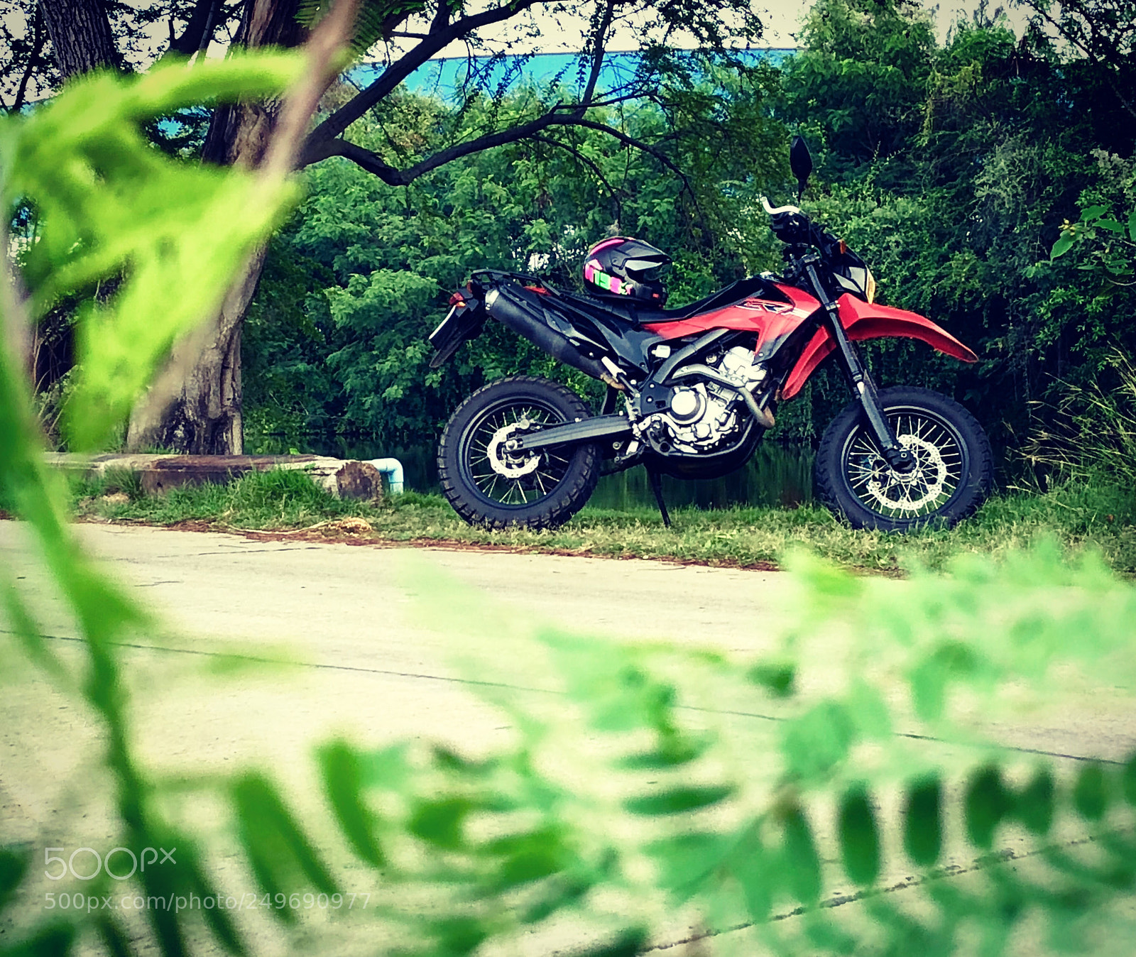 Apple iPhone 8 sample photo. My moto photography