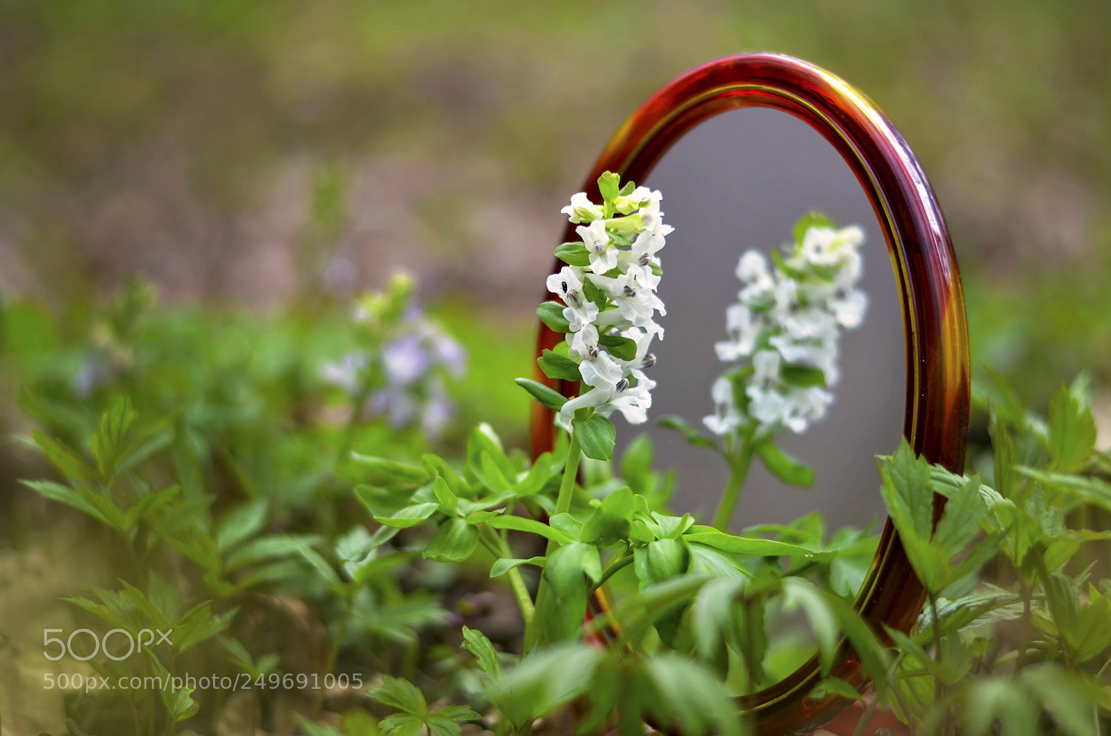 Nikon D7000 sample photo. Mirror, mirror ... who's photography
