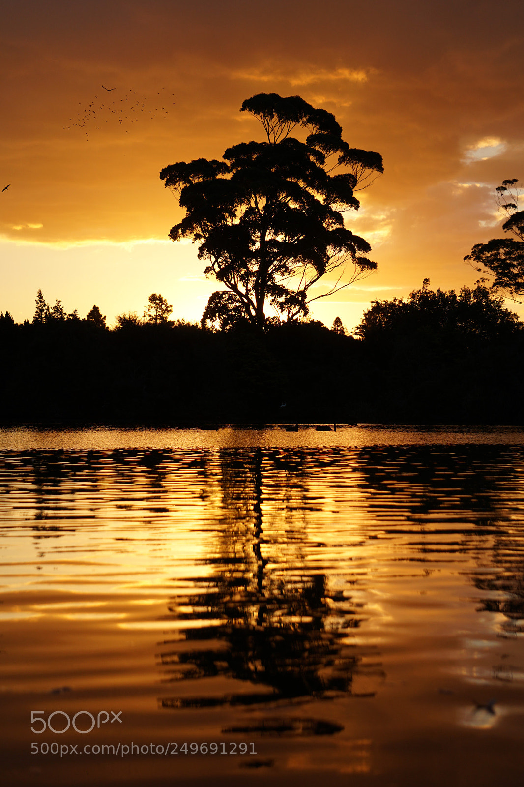 Sony a6000 sample photo. Golden hour photography