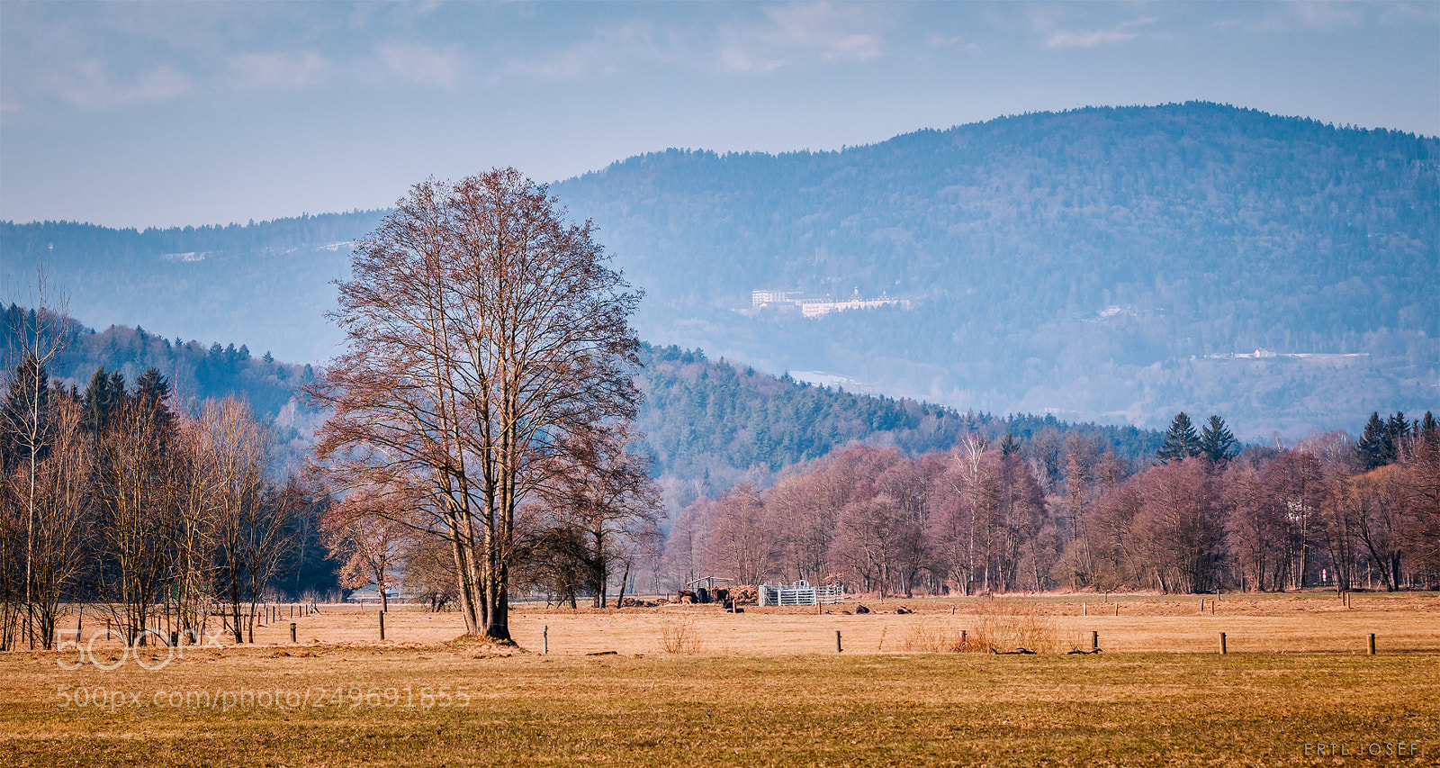 Canon EOS 70D sample photo. Tor zum bay. wald photography