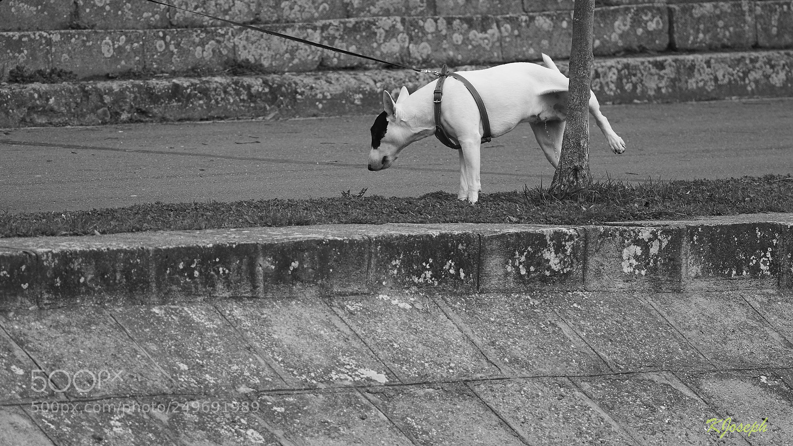 Olympus OM-D E-M1 Mark II sample photo. Street photography