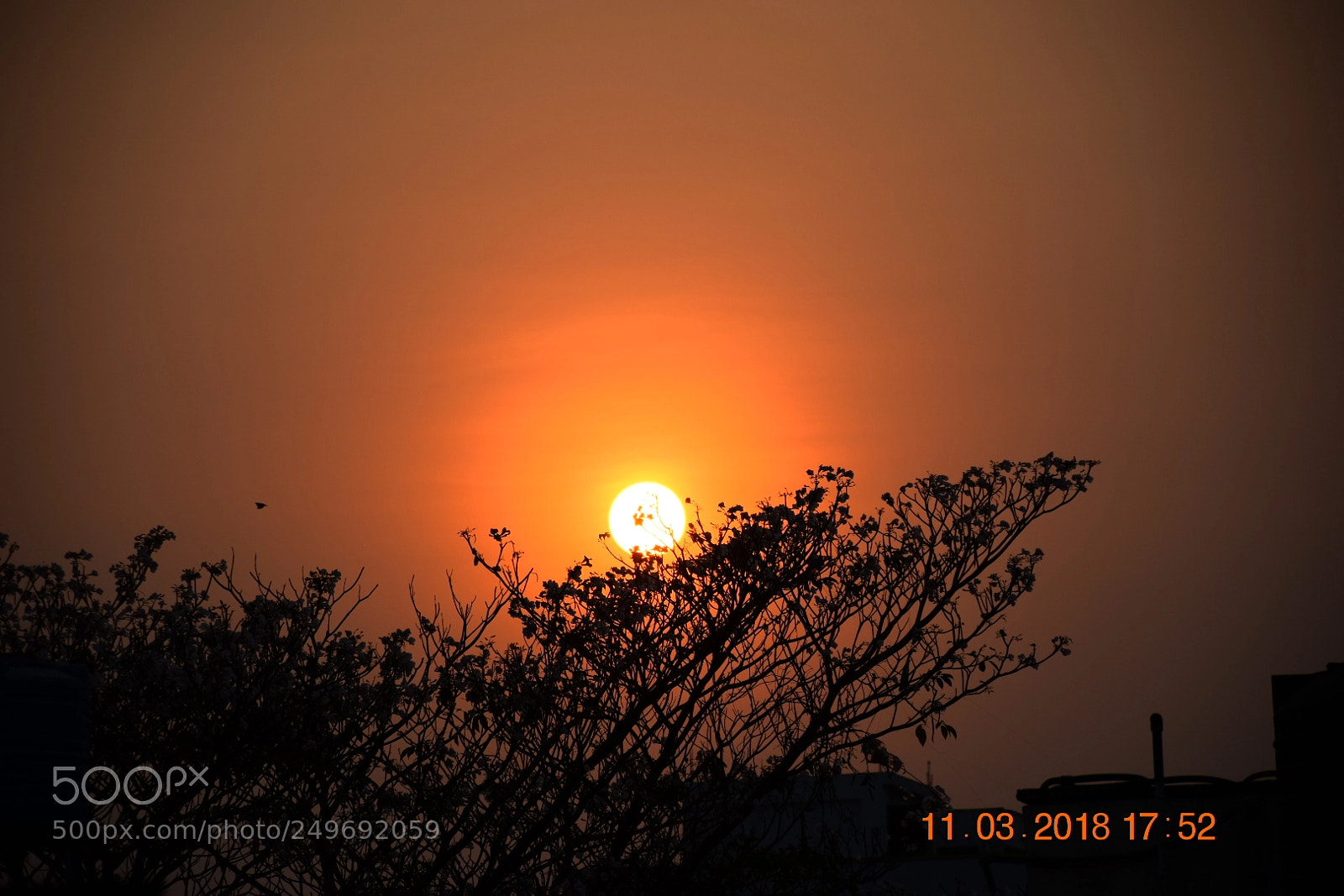 Nikon D5300 sample photo. Untitled photography