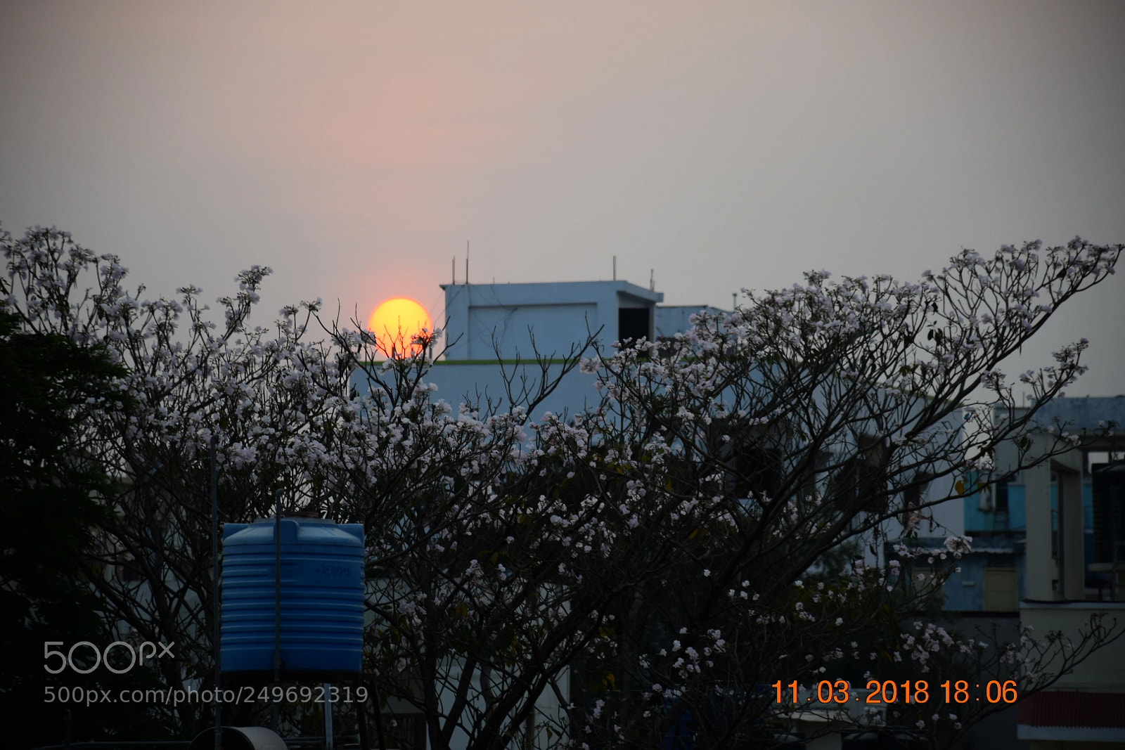 Nikon D5300 sample photo. Untitled photography