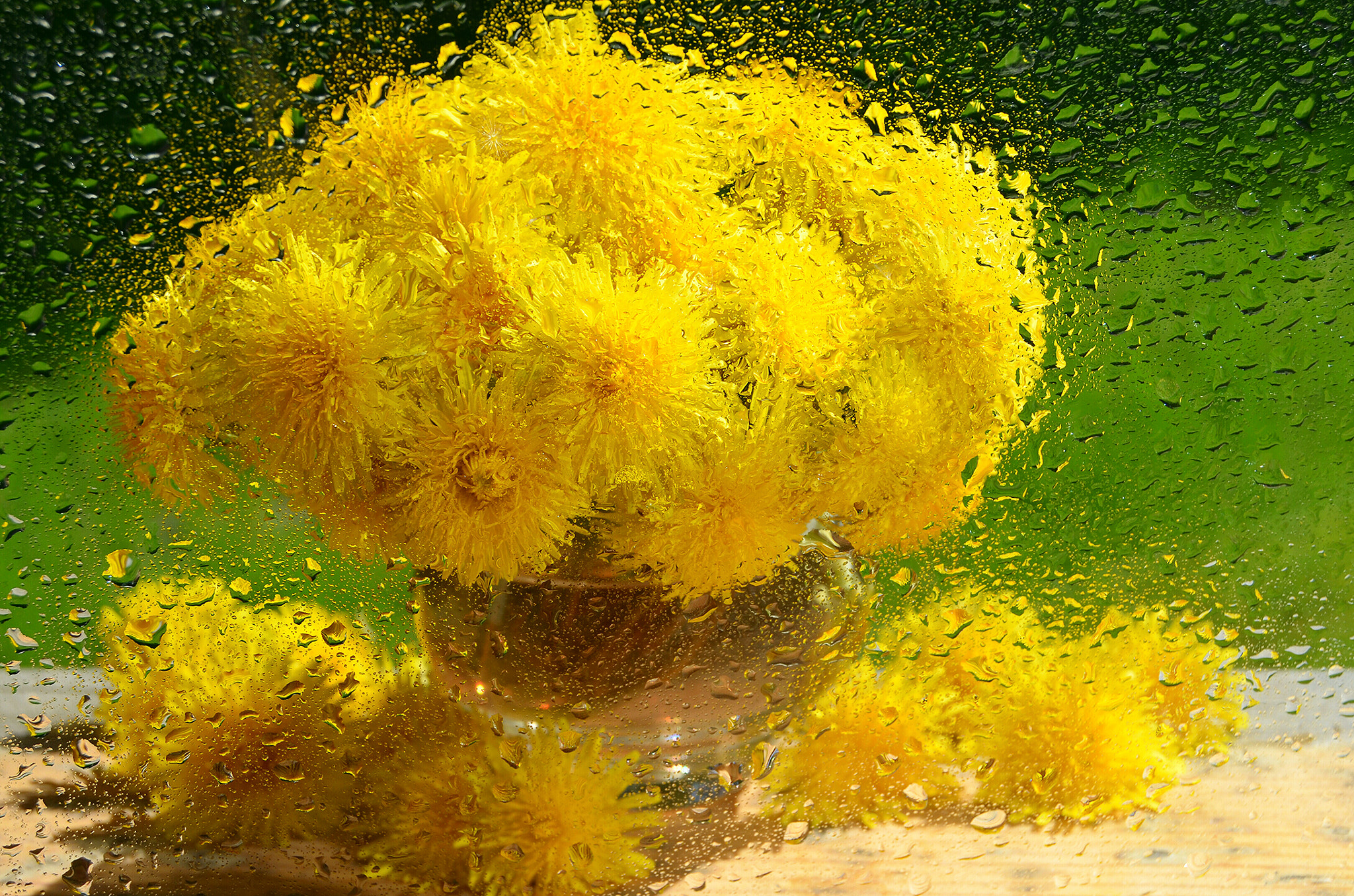 Nikon D5100 sample photo. Dandelions photography