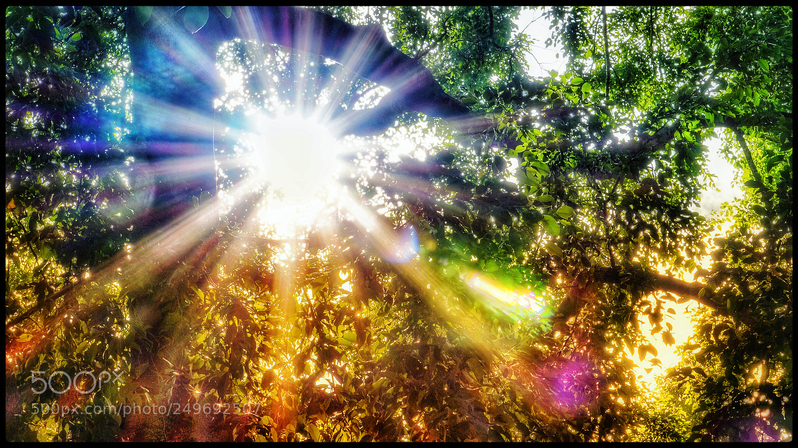 Sony Alpha NEX-5N sample photo. Perfect ray of light photography