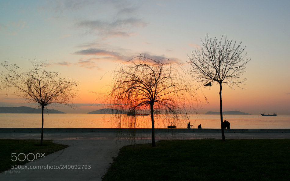 Samsung NX1 sample photo. ... photography