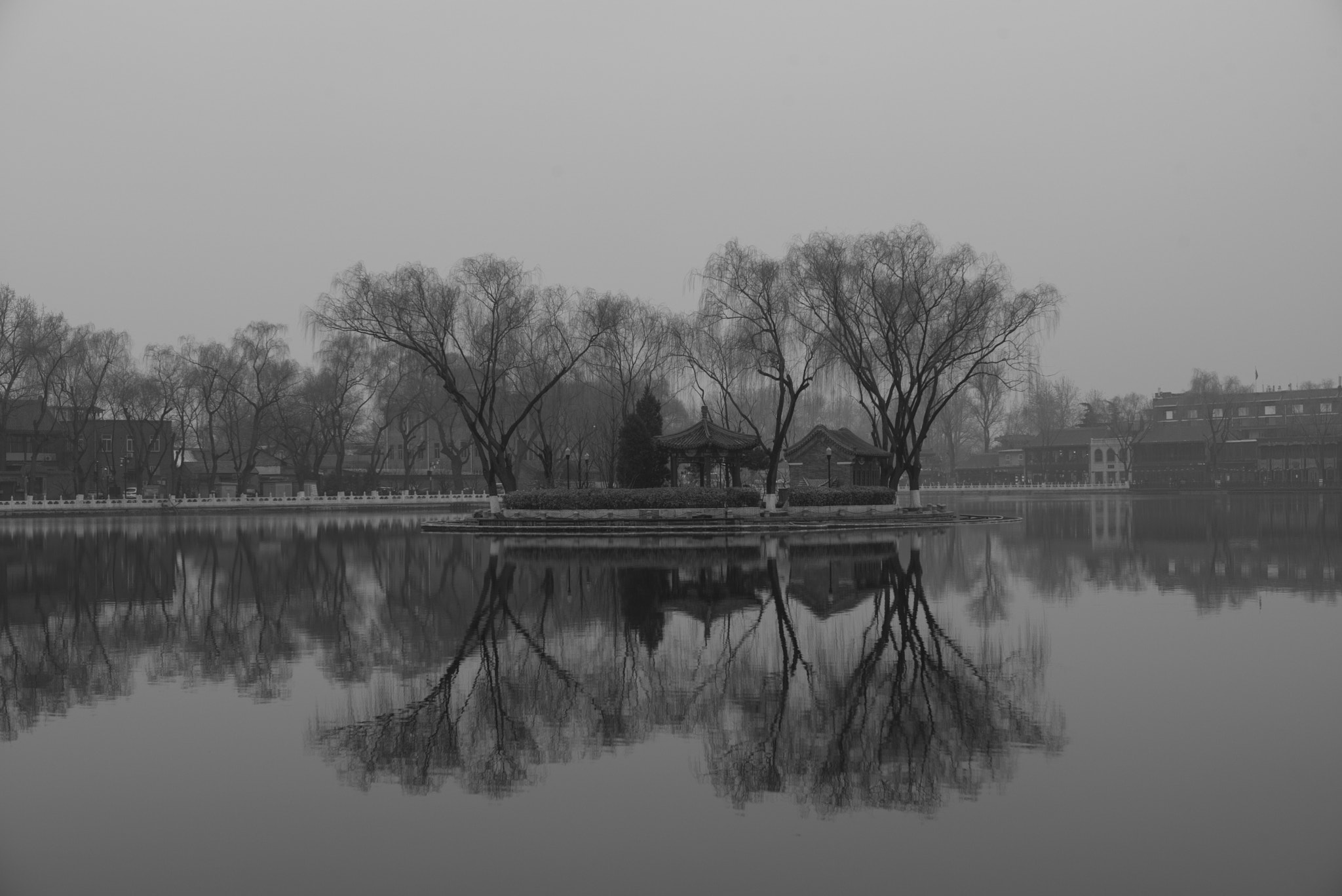 Leica M Monochrom (Typ 246) sample photo