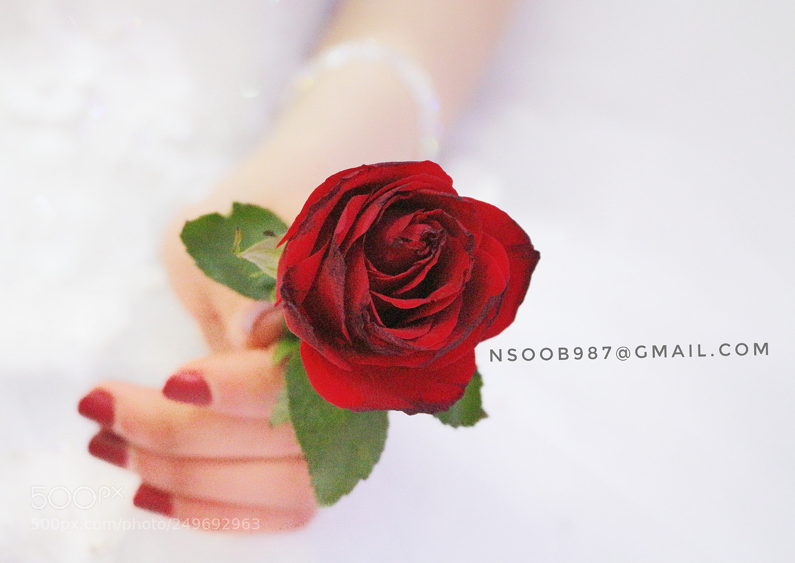Canon EOS 700D (EOS Rebel T5i / EOS Kiss X7i) sample photo. Beautiful day photography